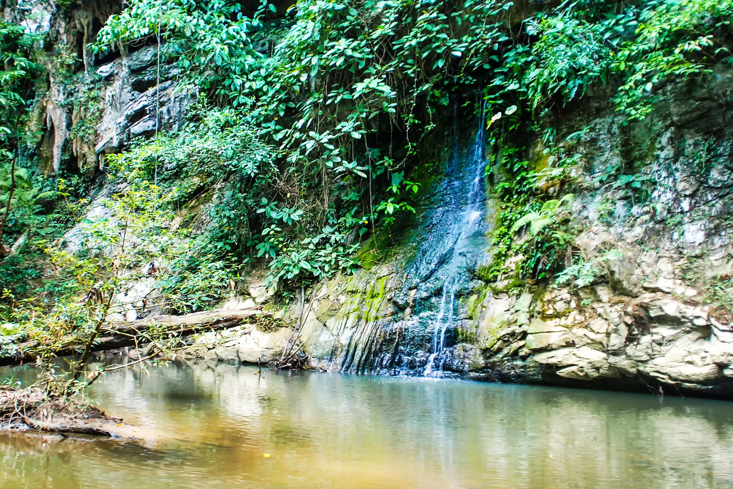 mulu national park (2).webp